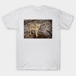 Grey Wolf T-Shirt